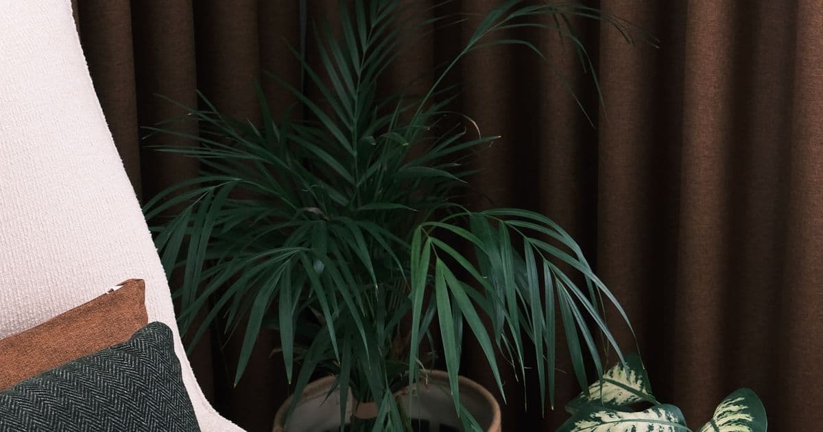 AI Receptionist for Therapists White Label