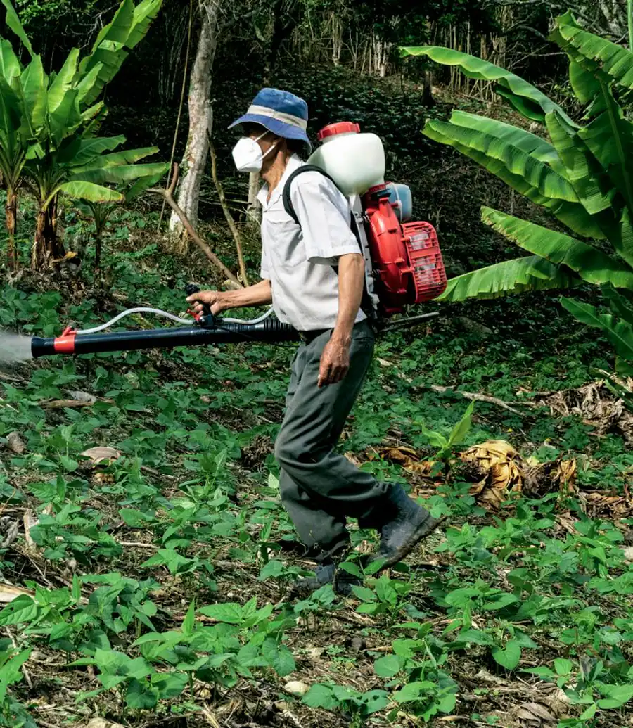 Pest control technician fogging outdoor greenery in daylight