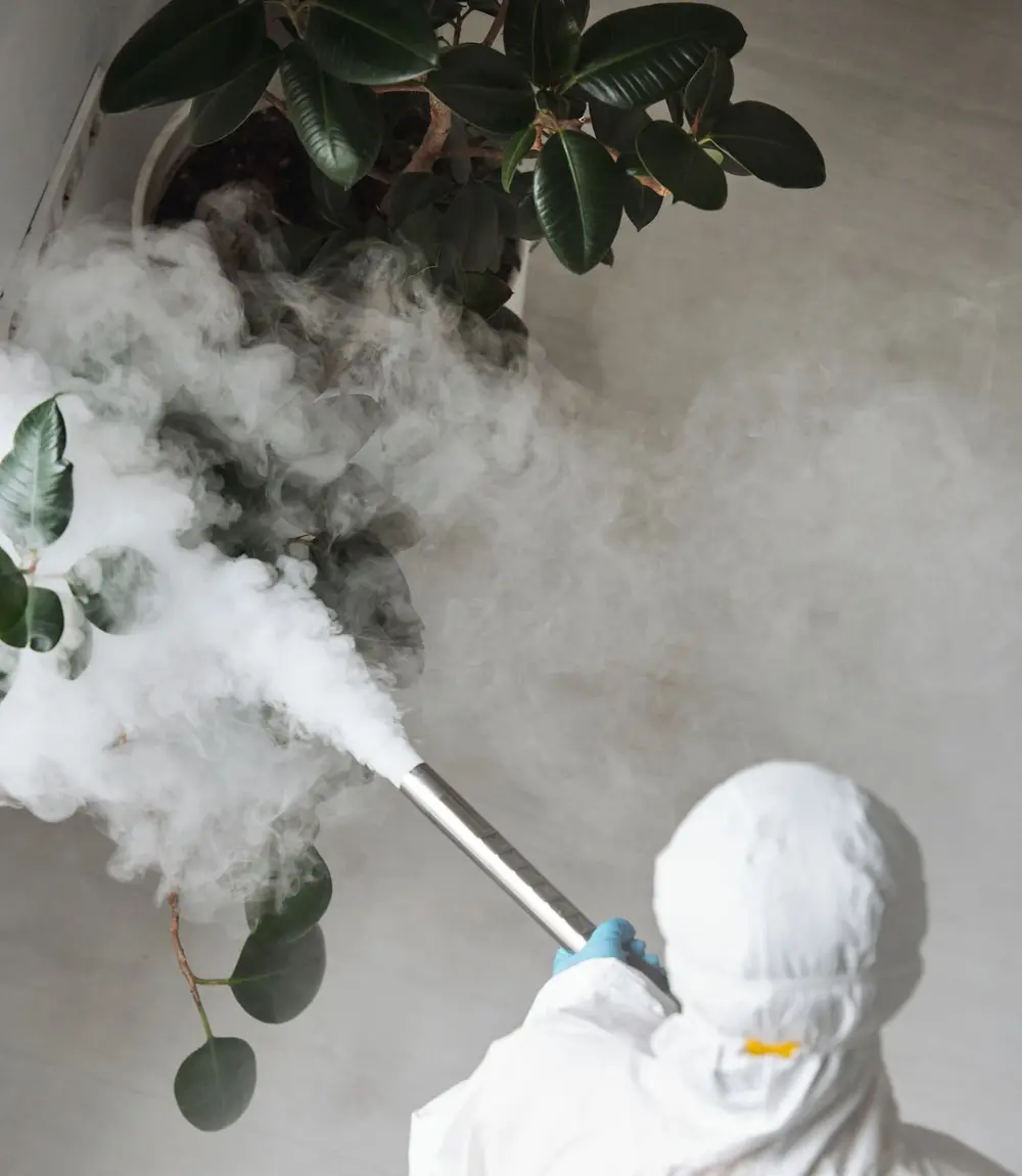 Technician in a protective suit treating an indoor plant