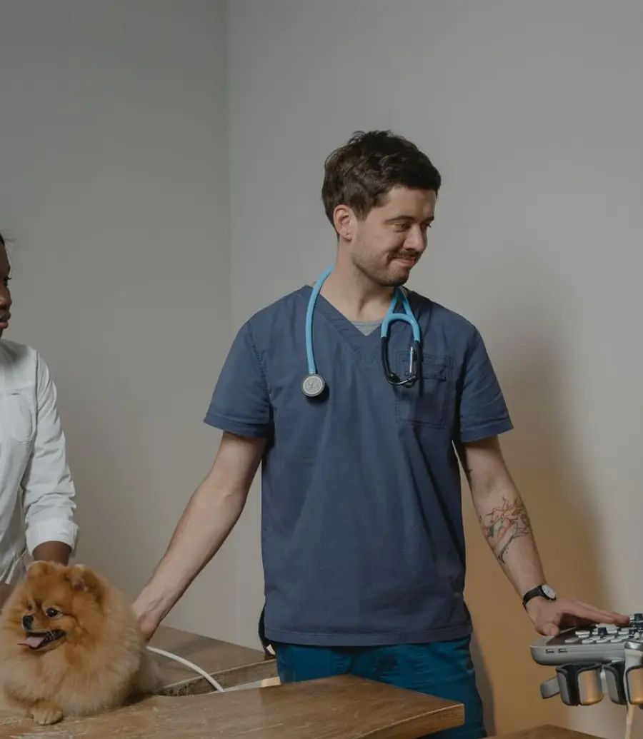 Veterinarian and assistant examining a dog during an after-hours visit