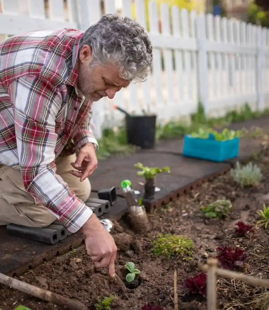 Gardener kneeling to plant in a vibrant garden bed