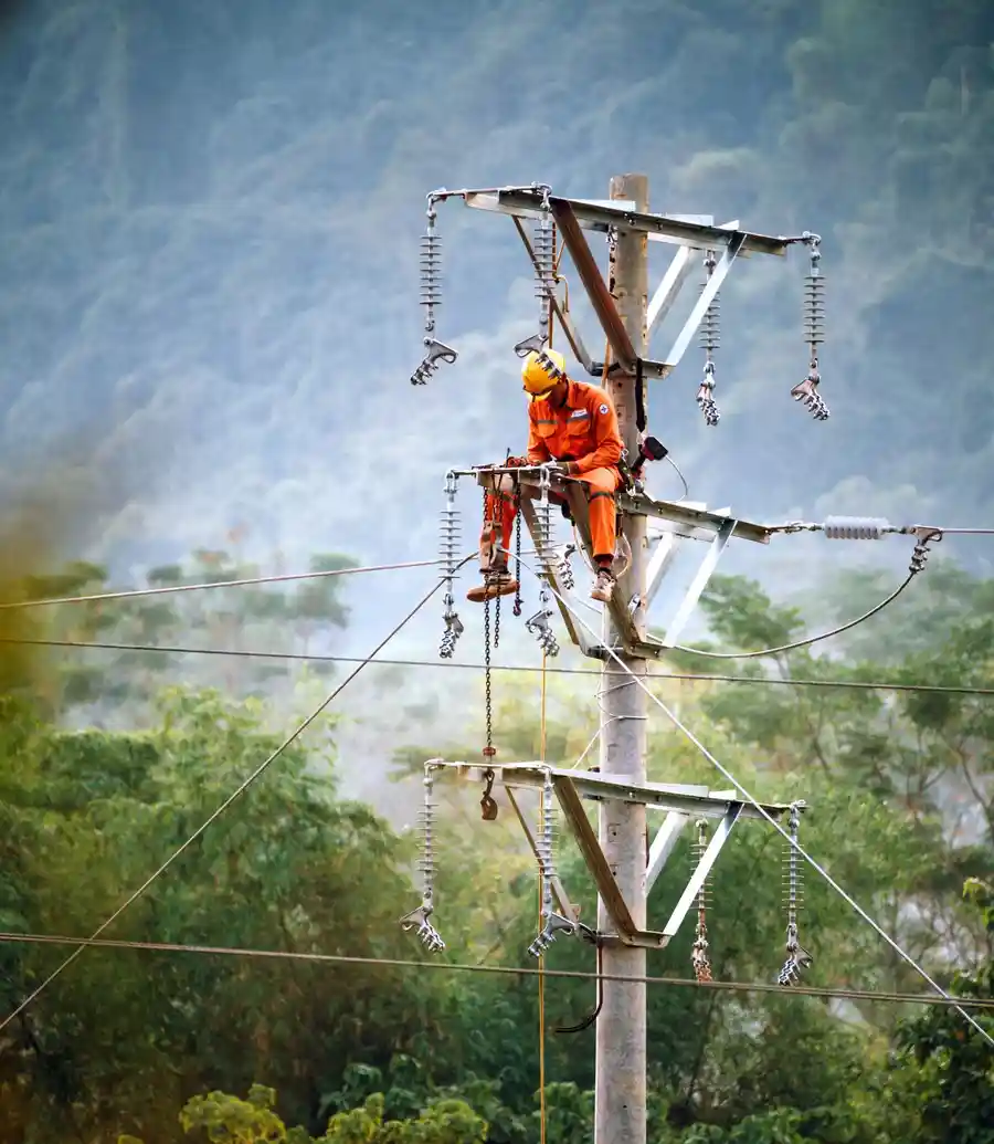 Power lines and distribution poles against an overcast sky