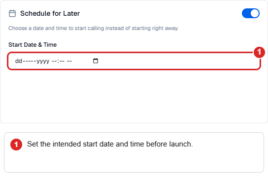 Batch scheduling controls showing the option to start later and an empty date-and-time field.